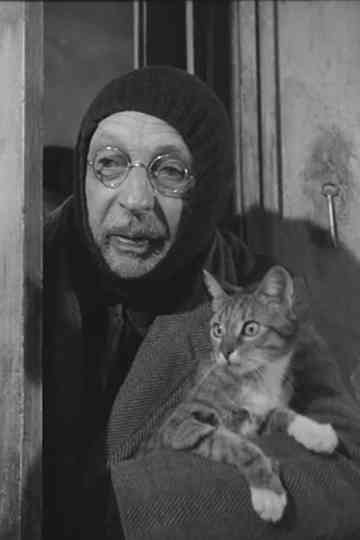 LHomme au chats Poster