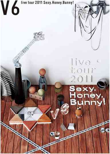 V6 live tour 2011 SexyHoneyBunny Poster