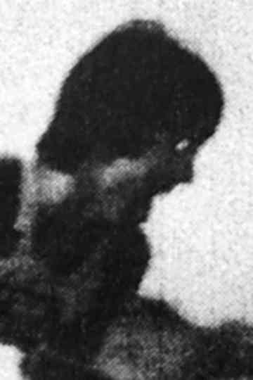 THE GREAT ADVENTURE OF PHOENIX Poster