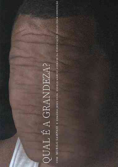 Qual é a Grandeza? Poster