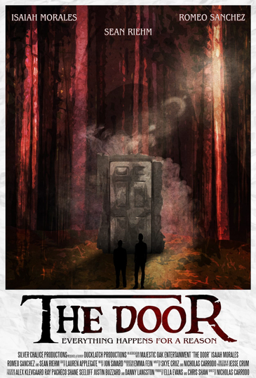 The Door Poster