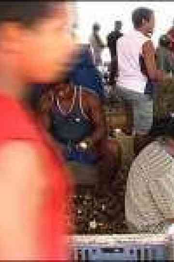 Volta Ao Longe Poster