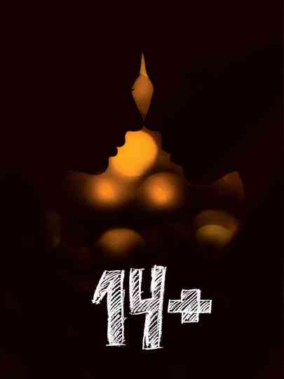 14+ (Коллекция) Poster