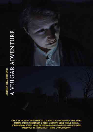 A Vulgar Adventure Poster