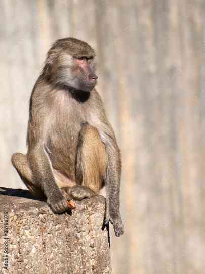 UNTITLED UNMASTERED Poster