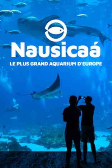 Nausicaa: The Largest Aquarium in Europe Poster