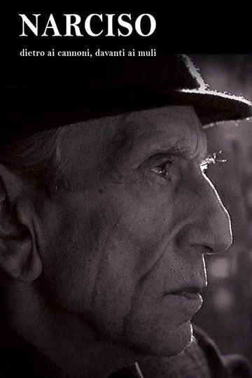 Narciso  Dietro ai cannoni davanti ai muli