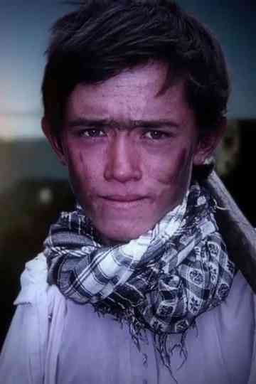 The Life of Mir Poster