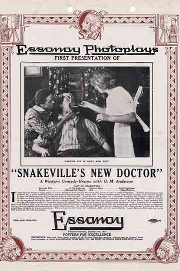 Snakeville's New Doctor Poster