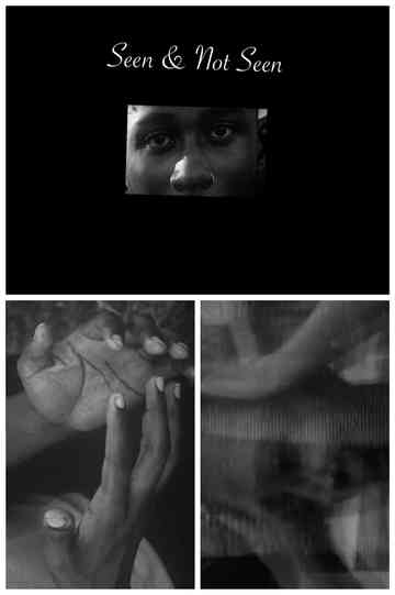 Seen  Not Seen Poster