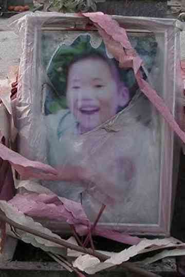 Wenchuan Rebar Poster