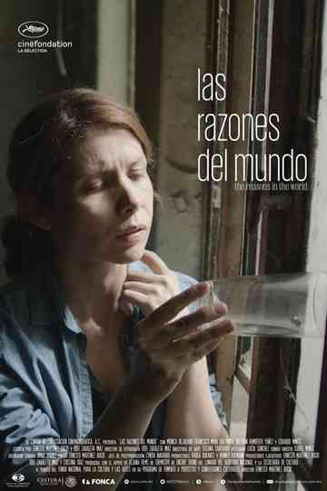 The Reasons in the World Poster