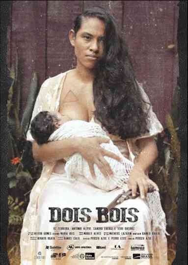 Dois Bois Poster