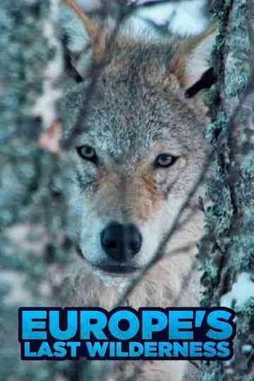 Europe's Last Wilderness Poster