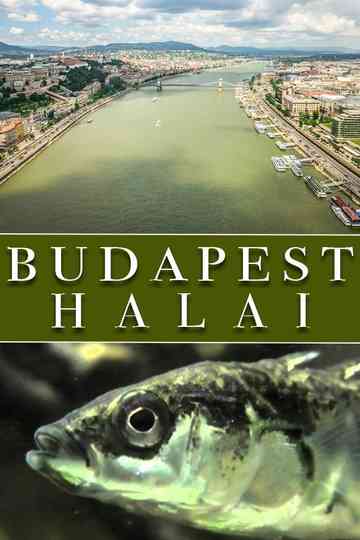 The Fish of Budapest Poster
