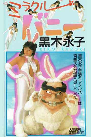 Miracle Bunny Poster
