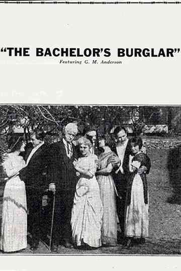The Bachelor's Burglar Poster