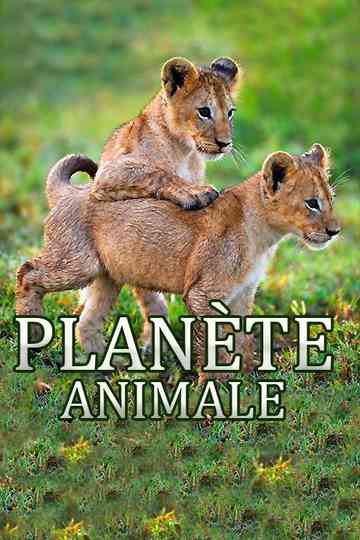 Animal Planet Poster