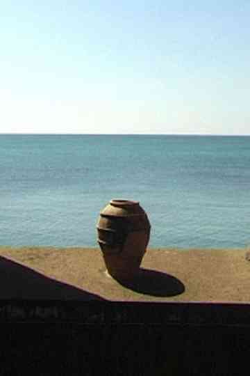 Windows, Dogs And Horses Poster