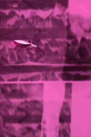 Frequency Objects Poster