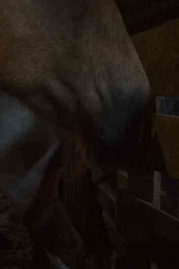 1162017 (Nov 6th 2017) Poster