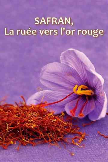 Safran la ruée vers lor rouge poster