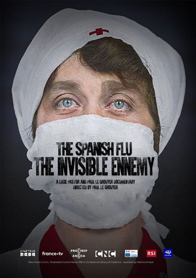 The Spanish Flu: The Invisible Enemy Poster