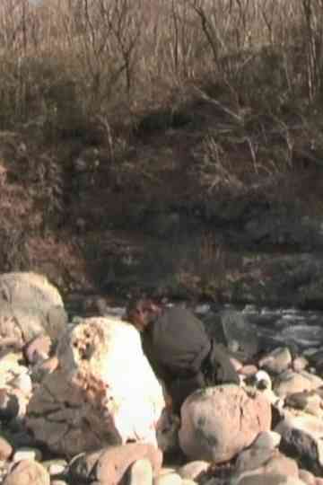 Memory of spider and moth Poster