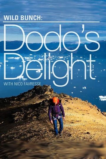 Dodos Delight  The Adventures Of The Dodo