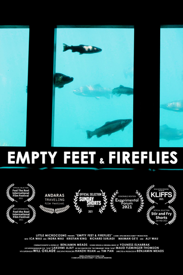 Empty Feet  Fireflies Poster