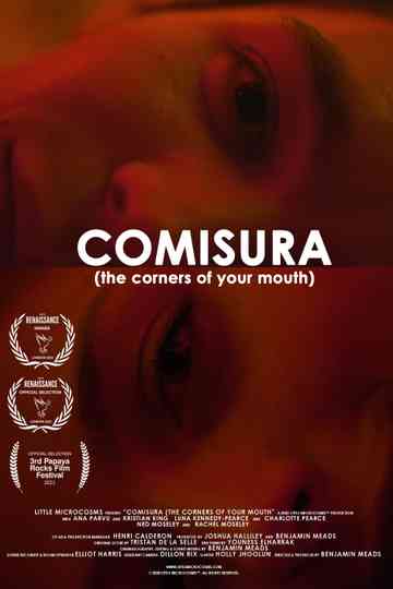 Comisura (The Corners of Your Mouth) Poster