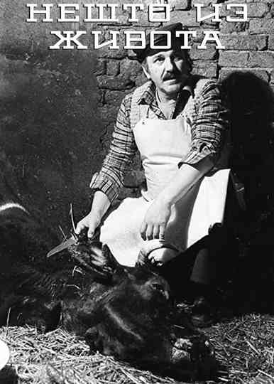 Scenes from a Life Poster