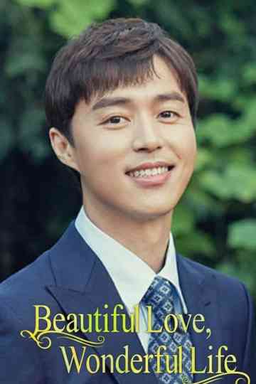Beautiful Love, Wonderful Life poster