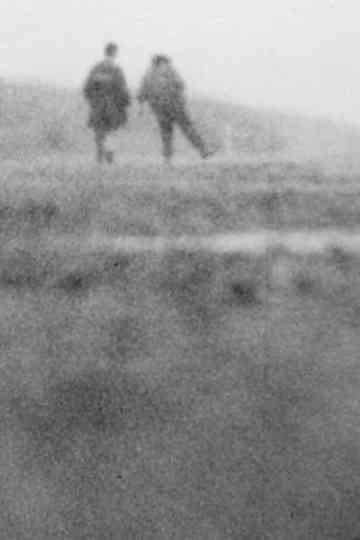 Bye-Bye, Mail Poster