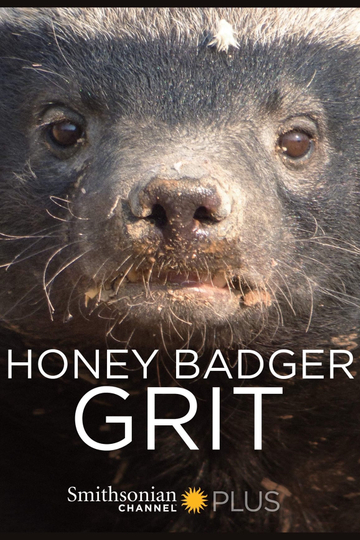 Honey Badger: Grit Poster