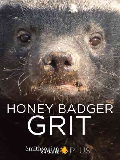 Honey Badger: Grit Poster