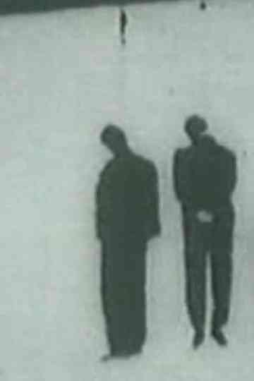 La quieta febbre Poster