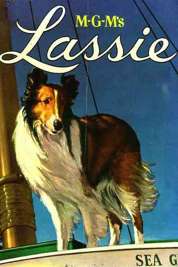MGM's Lassie Collection Poster