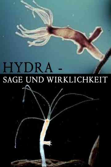 Hydra - Legend and Reality Poster