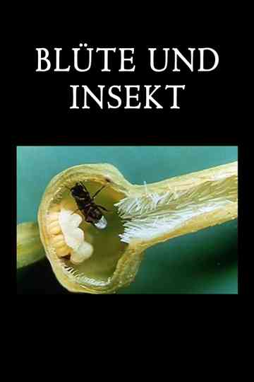 Blossom and Insect Poster