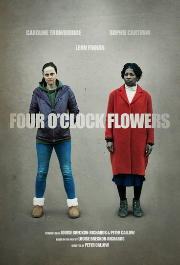 Four OClock Flowers