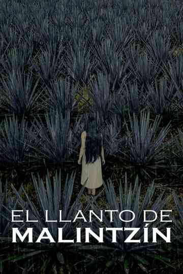 El llanto de Malintzin Poster