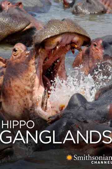Hippo Ganglands Poster