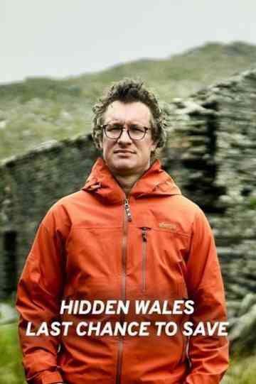 Hidden Wales: Last Chance to Save Poster