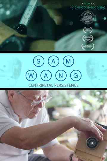 Sam Wang: Centripetal Persistence poster