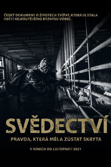 Svědectví Pravda která měla zůstat skryta