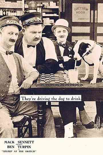 Asleep at the Switch Poster