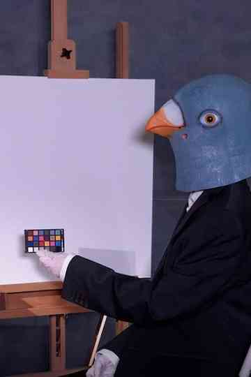 Birdsaver Report Volume 2 Poster