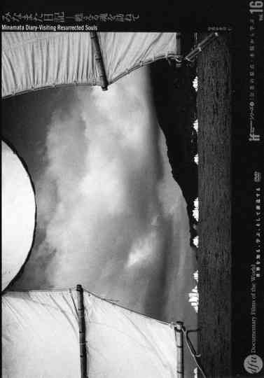 Minamata Diary: Visiting Resurrected Souls Poster