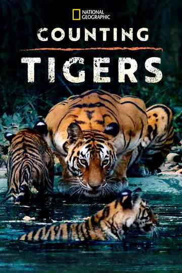 Counting Tigers Poster